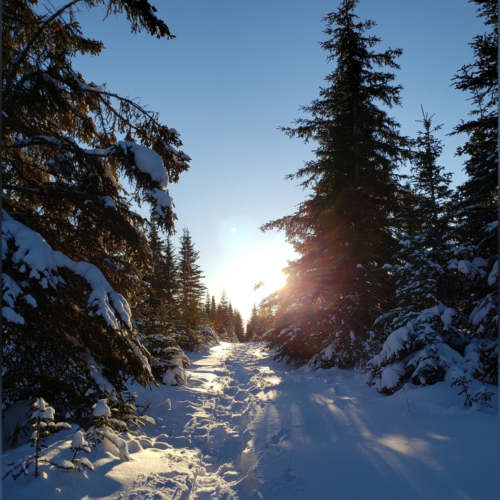 Meet your Posher, Terter - Picture 7 of 16